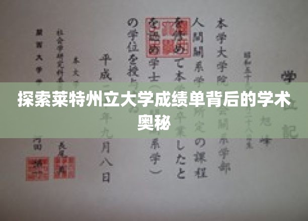 揭开莱特州立大学成绩单神秘面纱，探寻学术成就的秘密