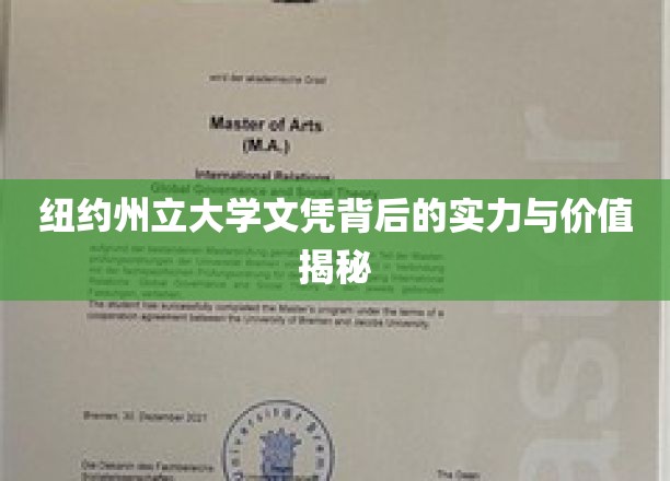 解码纽约州立大学文凭，实力认证与职场价值深度解析