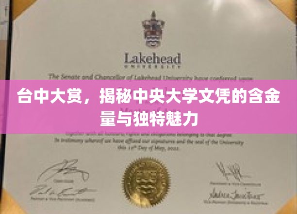 中央大学文凭魅力揭秘，台中大奖背后的实力与风采