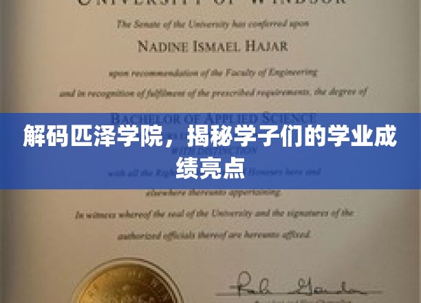 解码匹泽学院，揭秘学子们的学业成绩亮点