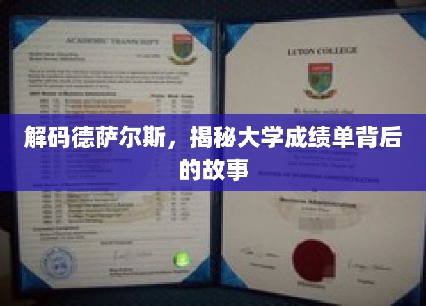 揭开德萨尔斯大学成绩单的神秘面纱
