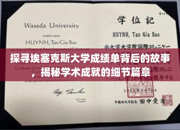 解码埃塞克斯大学成绩单，学术旅程的璀璨篇章