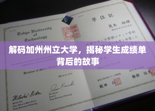 探寻加州州立大学成绩单背后的真实学力轨迹