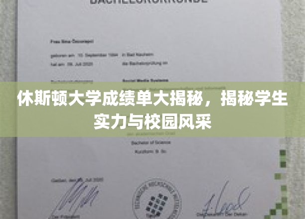 探寻休斯顿大学，成绩单背后的校园风云与学子风采