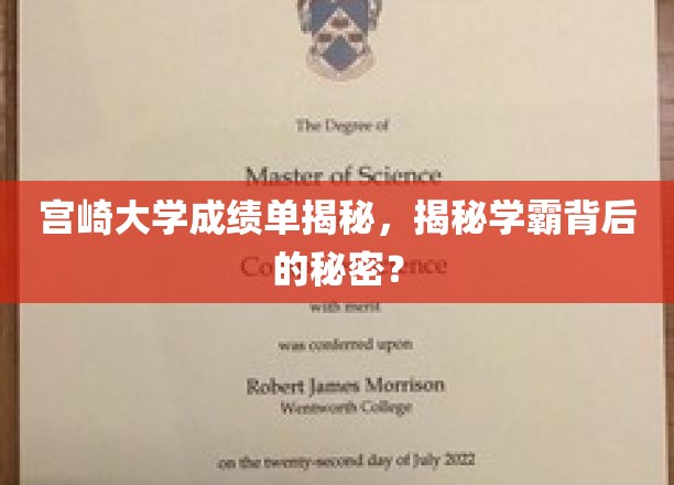 宫崎大学成绩单揭秘，揭秘学霸背后的秘密？