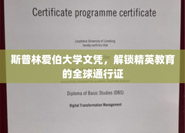 斯普林菲尔德大学文凭，开启全球精英教育的通行证