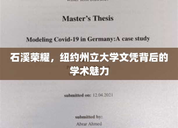 石溪辉煌，纽约州立大学文凭背后的独特学术风采