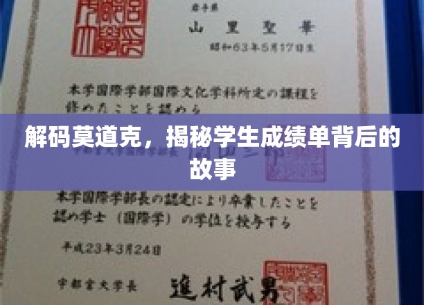 解码莫道克，探寻学生成绩单背后的故事