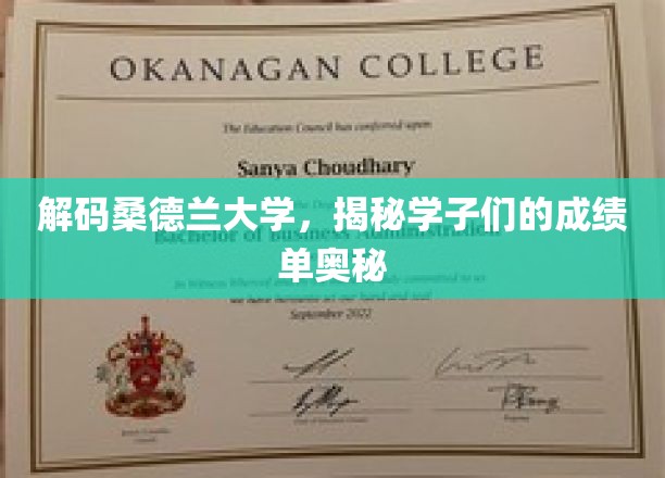 探索桑德兰学子秘籍，揭秘卓越成绩背后的独特之道