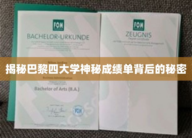 揭秘巴黎四大学神秘成绩单背后的秘密