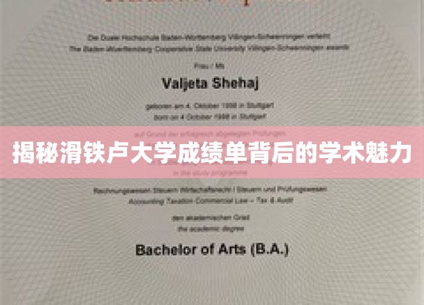 解锁滑铁卢大学成绩单中的学术奥秘