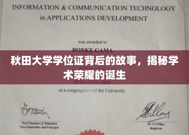 秋田大学学位证书背后的故事，揭秘学术荣耀的诞生