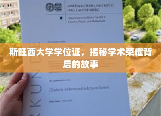 斯旺西大学学位证，揭秘学术荣耀背后的故事