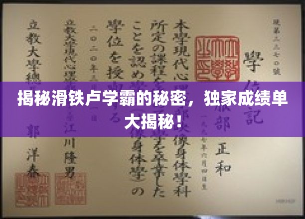 解锁学霸秘籍，滑铁卢精英学子成绩单大揭秘！