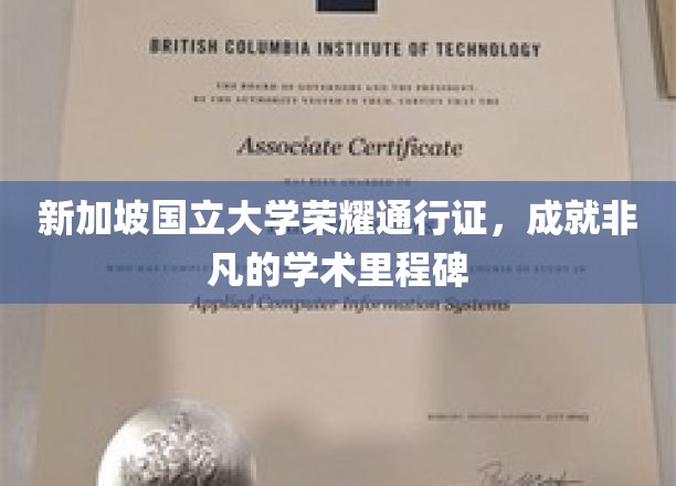 新加坡国立大学学子荣耀证，开启非凡学术之旅的里程碑