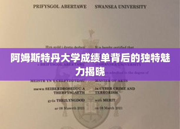 解锁阿姆斯特丹大学成绩单的异域风情密码