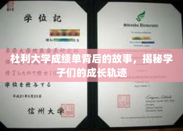 杜利大学成绩单背后的青春足迹，学子成长轨迹大揭秘