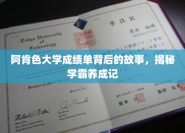解码阿肯色大学学霸之路，揭秘成绩单背后的不凡历程