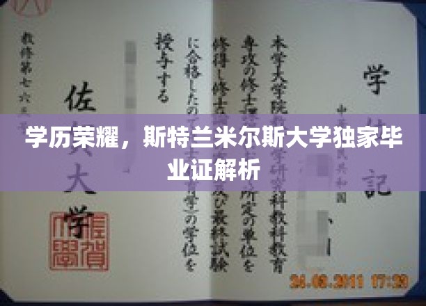 斯特兰米尔斯大学毕业证大揭秘，探寻学历背后的荣耀与奥秘