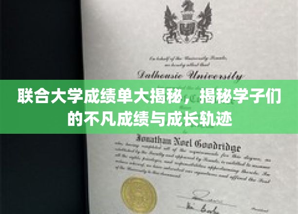 探寻联合大学精英学子的卓越成绩与蜕变之路