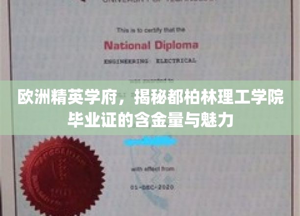 都柏林理工学院毕业证，欧洲精英学府的黄金通行证，魅力无限