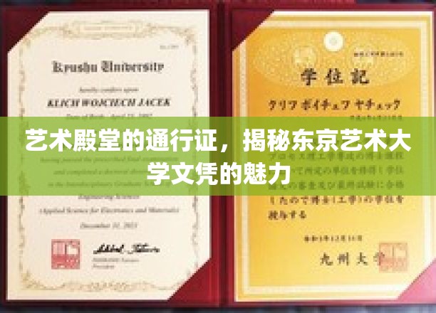 艺术巅峰之路，揭秘东京艺术大学文凭的独特吸引力