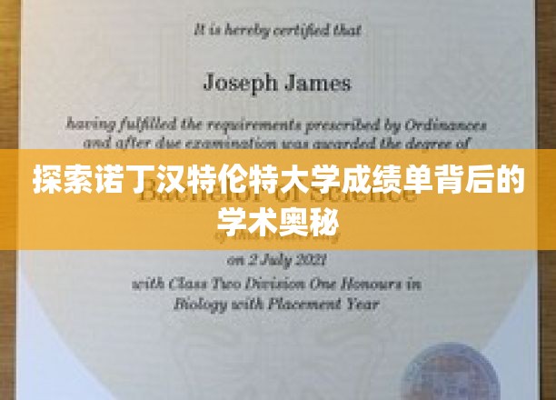 解锁诺丁汉特伦特大学成绩单的神秘学术世界