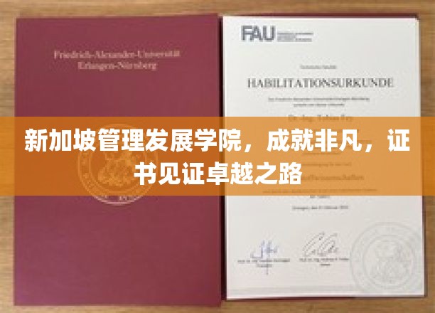 新加坡管理发展学院，卓越证书见证非凡成长之旅