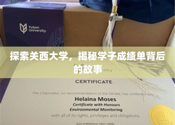 揭开关西大学学霸成绩单背后的神秘面纱