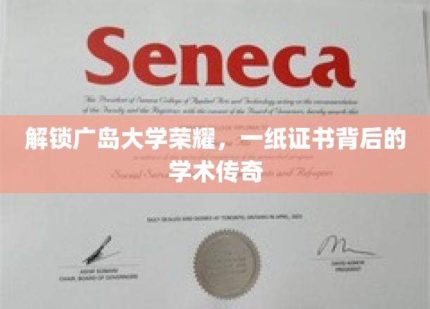 广岛大学荣耀揭秘，一纸证书背后的学术传奇之路