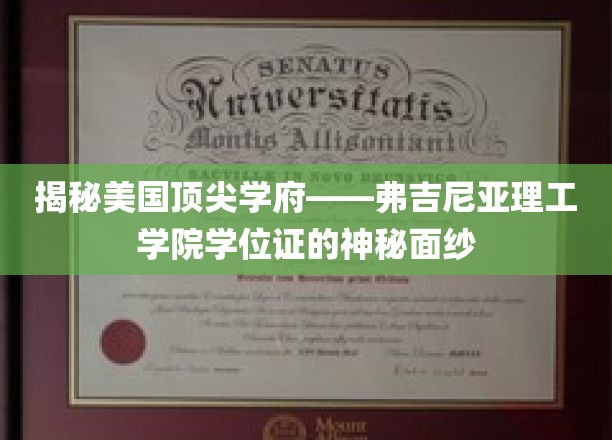 一探究竟：美国顶尖学府弗吉尼亚理工学院的学位证书背后的故事
