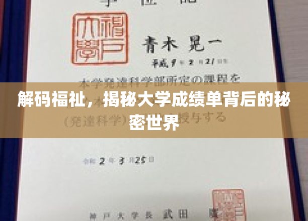 解码福祉，揭秘大学成绩单背后的秘密世界