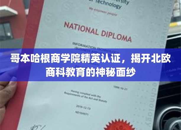 哥本哈根商学院精英之路，探寻北欧商科教育的璀璨奥秘