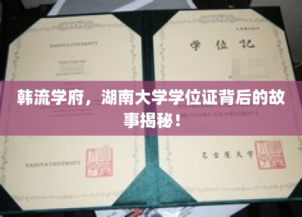 湖南大学学位证背后的韩流传奇，揭秘这所学府的神秘魅力