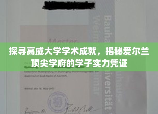 解码高威大学卓越风采，爱尔兰精英学子实力档案大揭秘