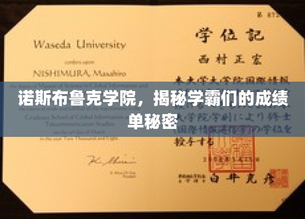 揭开诺斯布鲁克学霸的秘密，揭秘他们的高分秘籍！