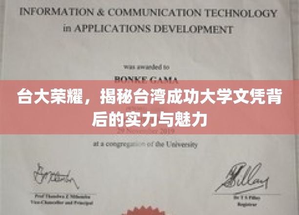 台湾成功大学文凭背后的璀璨之光，实力与魅力的双重见证