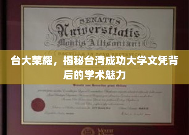 台湾顶尖学府之光，揭秘台大文凭背后的学术魅力与荣耀