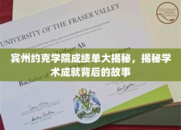 宾州约克学院成绩单大揭秘：揭秘学术成就背后的故事
