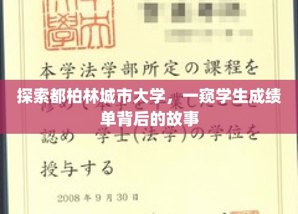 揭开都柏林城市大学成绩单的神秘面纱