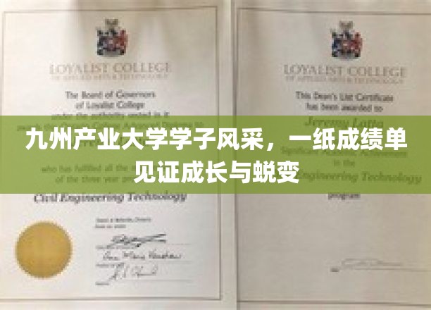 九州英才展翅，成绩单勾勒青春蜕变轨迹