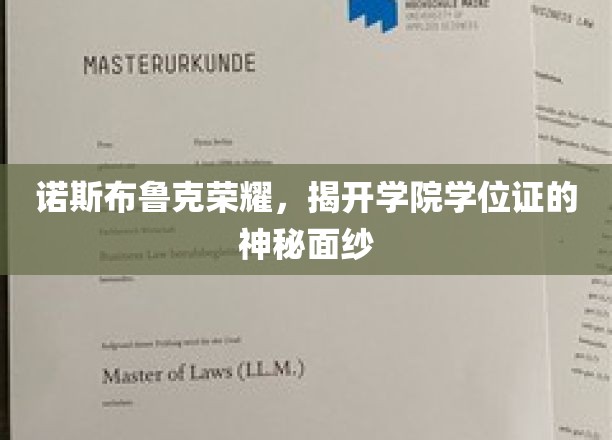 探寻诺斯布鲁克荣耀，学院学位证的奥秘之旅