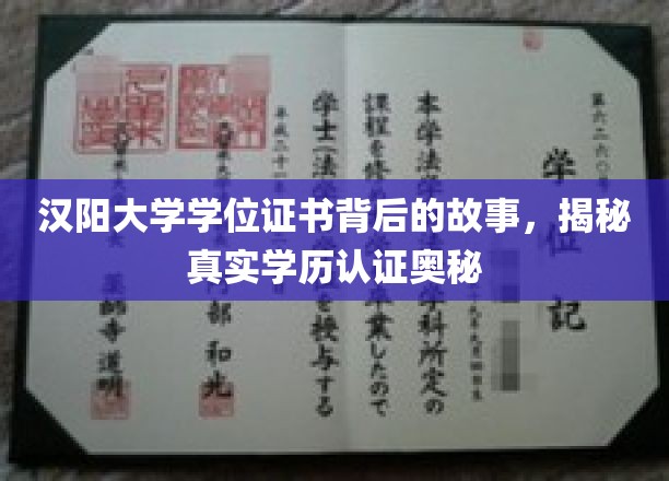 汉阳大学证书探秘，学历认证背后的不为人知传奇