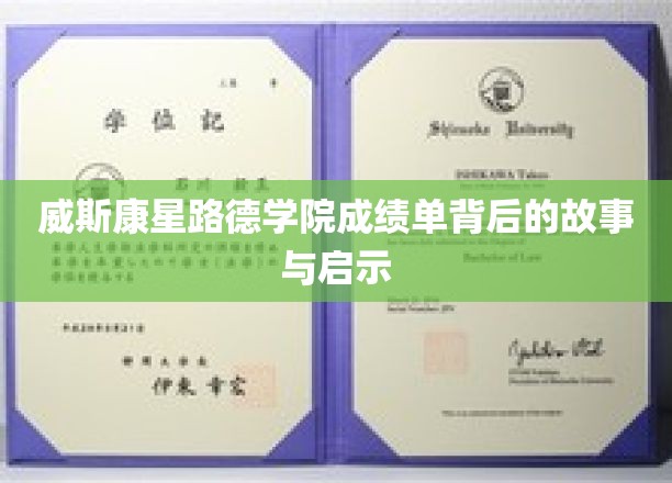 路德学院成绩单，揭开教育背后的深刻启示
