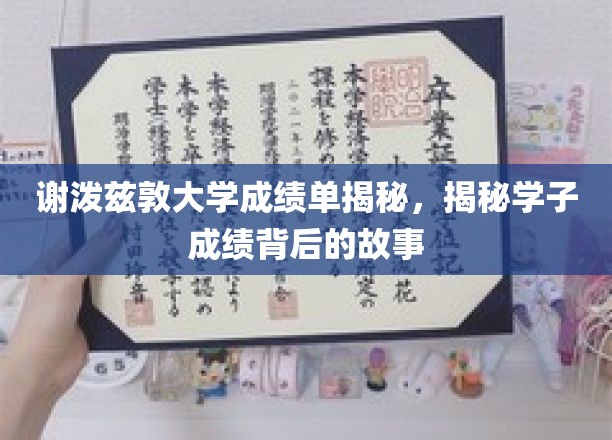 谢泼兹敦大学成绩背后，学子奋斗轨迹大揭秘