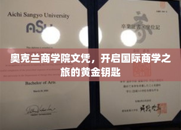 奥克兰商学院文凭，解锁全球商界梦想的金钥匙之旅