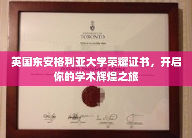 东安格利亚大学荣耀证书，铺就学术巅峰启航之路