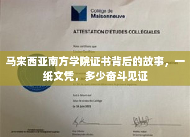 马来西亚南方学院证书背后的故事，一纸文凭，多少奋斗见证
