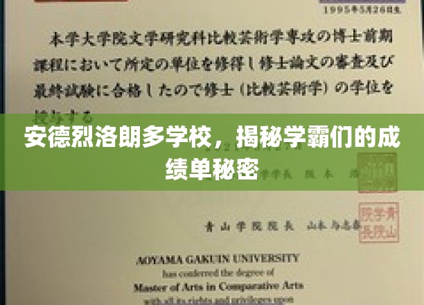 揭开安德烈洛朗多学霸们的成绩单奥秘