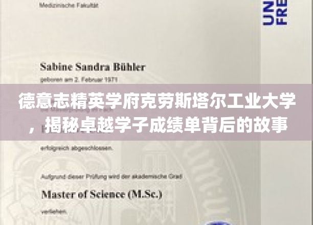 探寻克劳斯塔尔工业大学卓越学子的背后传奇之路